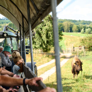 Guidet Tur 24.04.2026 kl. 17.30