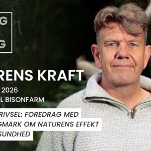 MIDDAG MED MENING - Naturens Kraft