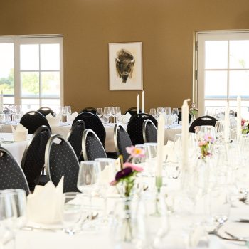 Opdækning Ditlevsdal 2